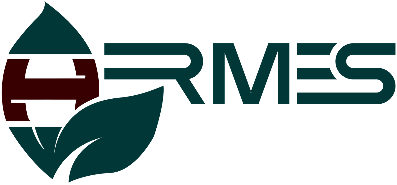 HERMES logo